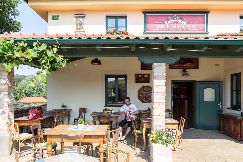 Boutique Hotel Pri Mlyne Лозорно Екстер'єр фото